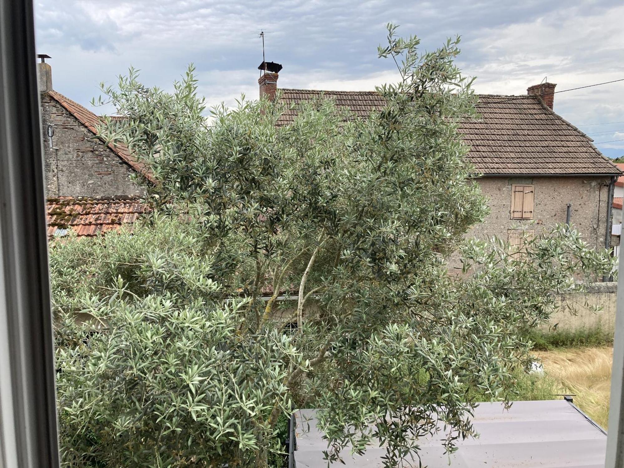 Location Appartement Des Pyrenees Borderes-sur-l'Echez Værelse billede